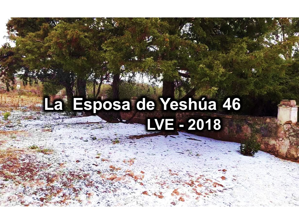 La Esposa de Yeshúa 46 - YHWH Ekjad 25 - La Nueva Medicina 7