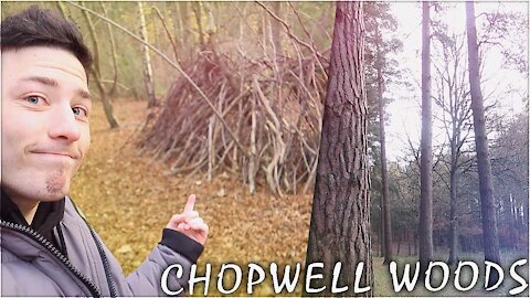 I Went To Explore CHOPWELL WOODS!!