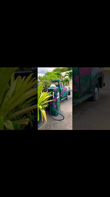 CRUISING CLIPS SUBSCRIBE C HAWAI’I #aloha #beach #kauai