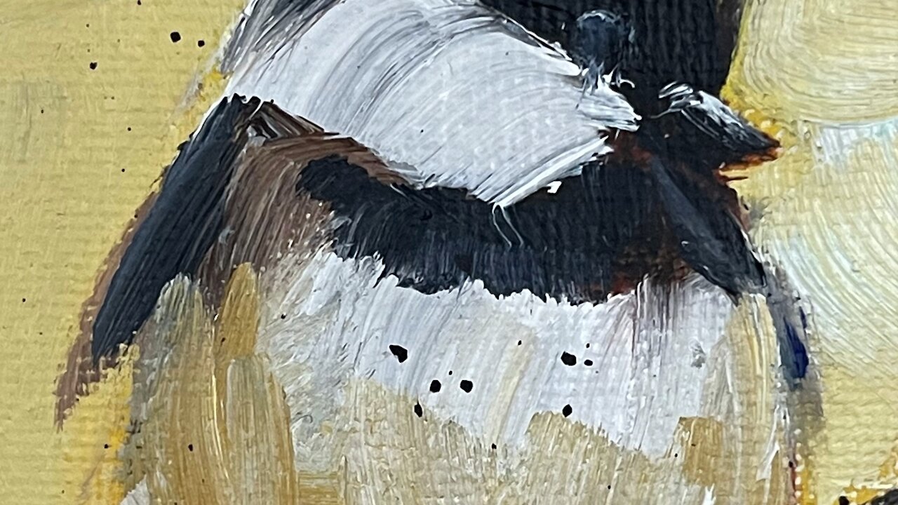 Watch me painting a cute Chickadee Bird