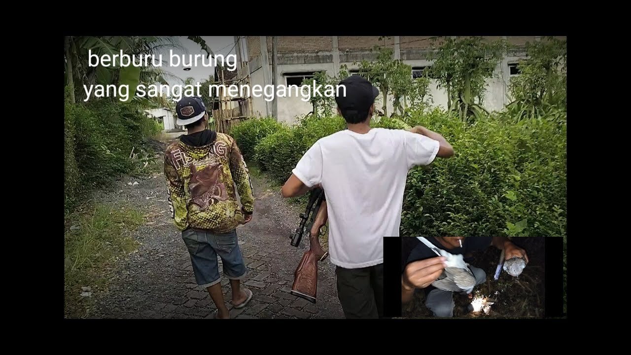 Berburu burung, siang sampai malam