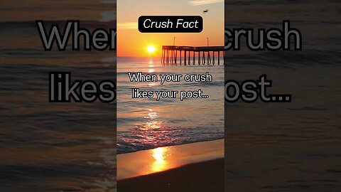 Crush Fact