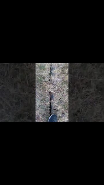 Perfectly Straight Crack in the Ground! How bizarre? How Bizarre, How Bizarre.