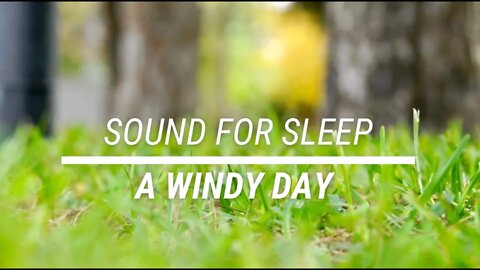 Sound for sleep A Windy Day 3 hours