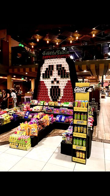 Sept 24 23 highlights. Turtles, beach, solar work & grillz