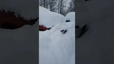 At Least The Electricity Is Back On