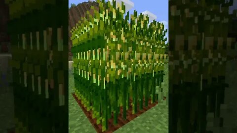 Minecraft Corn, Corn, Corn