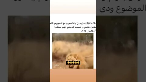 نهار تخاصمي مع راجلك وتكون عندك بحال هد العائلة من فرحاتك