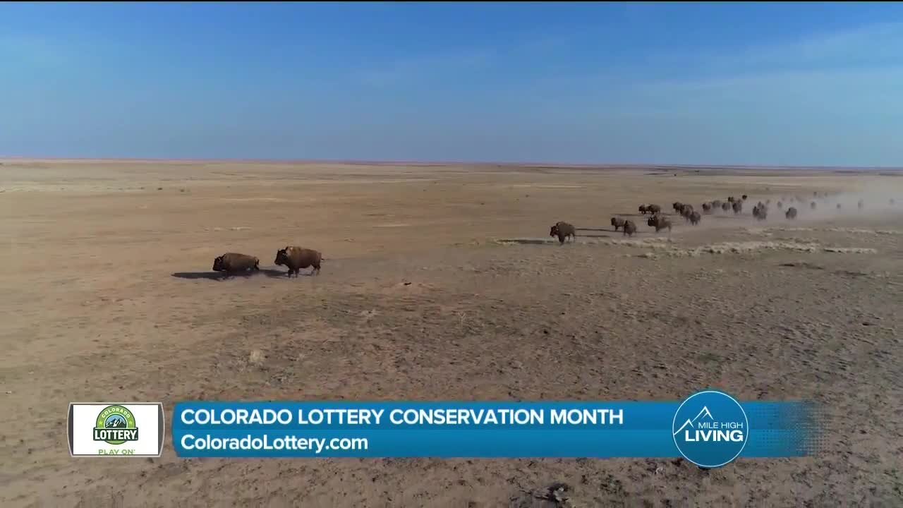 Conservation Month // Colorado Lottery