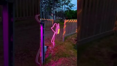 Cool neon sign of a Flamingo