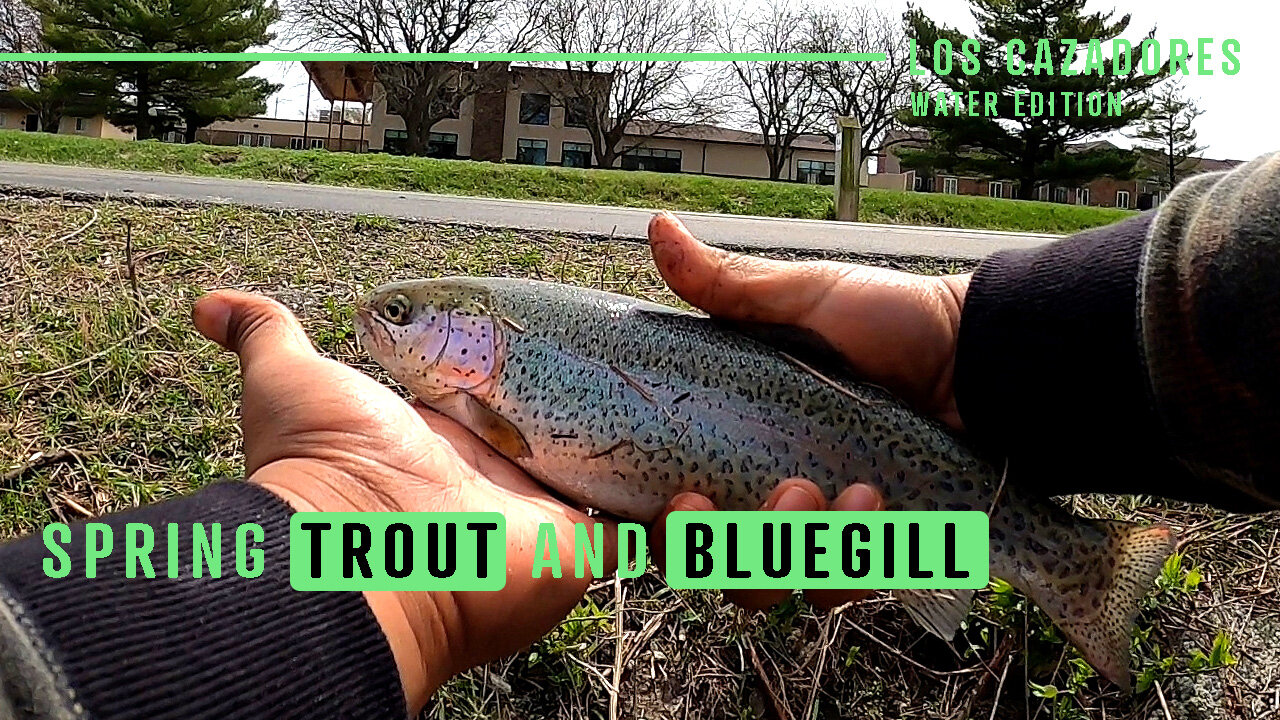 Spring Rainbow Trout And Bluegill Buffet (Spring Trout Stock)