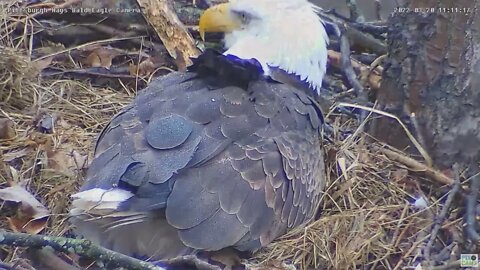 Hays Eagles Dad passes food to Mom 2022 03 20 11:11am