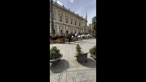 Madrid Spin