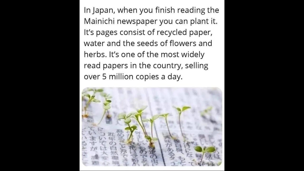 Mainichi Japanese Newspaper ~ Recycled Paper and Seeds of Flowers and Herbs ~ Sustainability