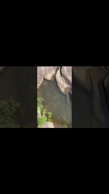 #shorts #2022 funny,prank,funjokes,dad jokes,funny memes,funny video,fun,laughing,funny animal,knock