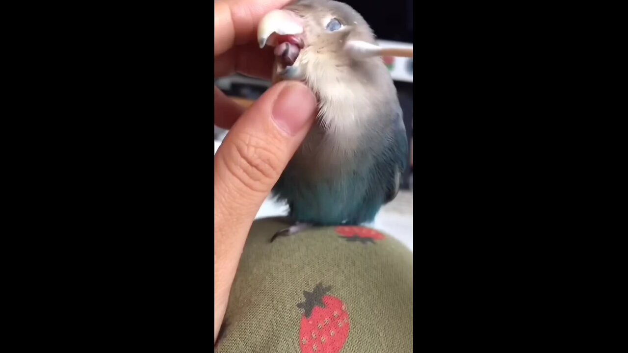 Very cute