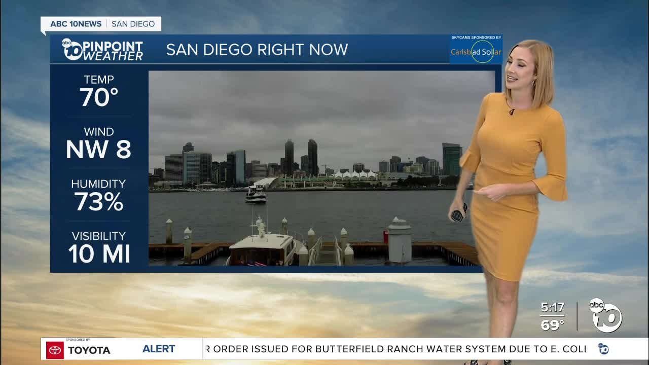 ABC 10News Pinpoint Weather with Meteorologist Leah Pezzetti