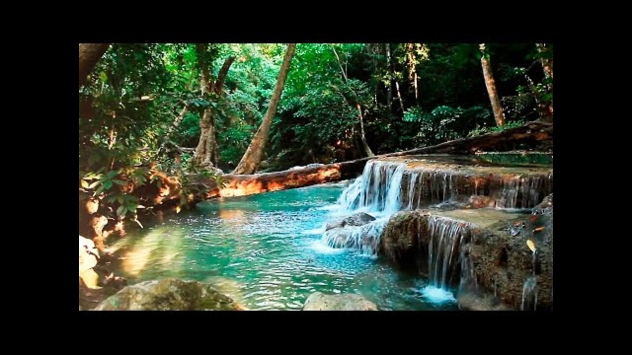 Rainforest Sounds - Water Sound Nature Meditation