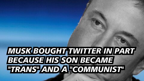 Why did Musk buy Twitter?