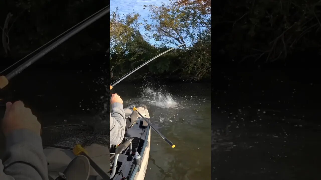 This cast DESERVED this BITE! 😮‍💨🤌🏻 #bassfishing #kayakfishing #riverfishing