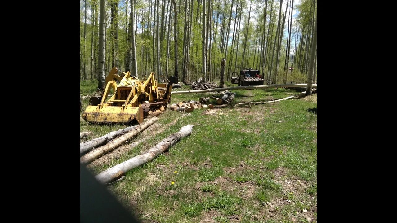 Bandsaw Sawmill Build #2