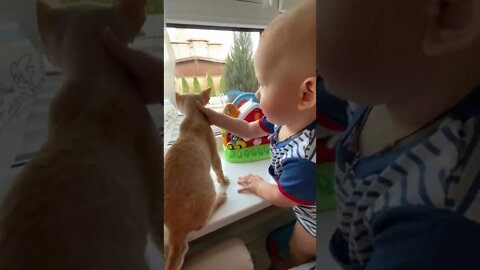 Baby and cat play