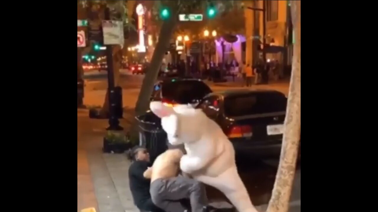 Funny Easter Bunny street fight KO (Watch this)