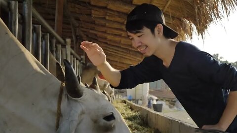Young Asian Farmer working in farm, Livestock in family country ranch, People and animal husbandry c
