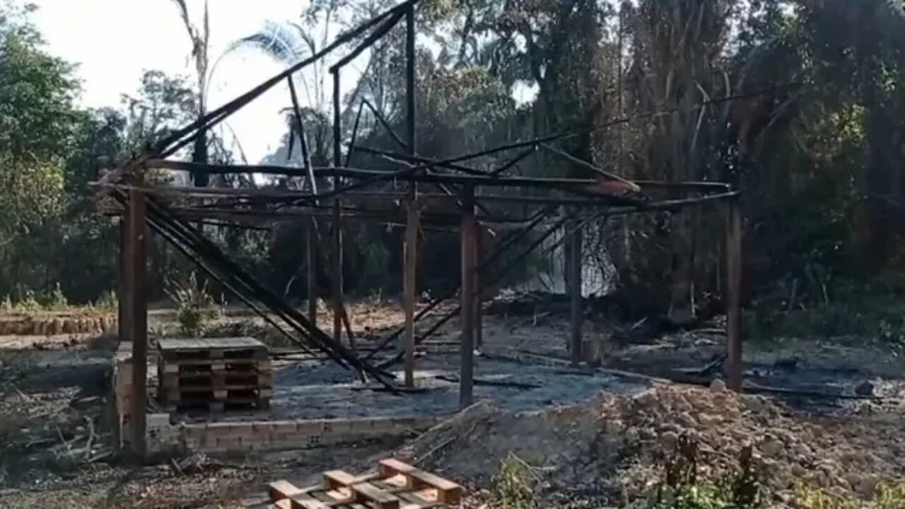 Incêndio em Aldeia no Pará deixa Muitos Animais Mortos