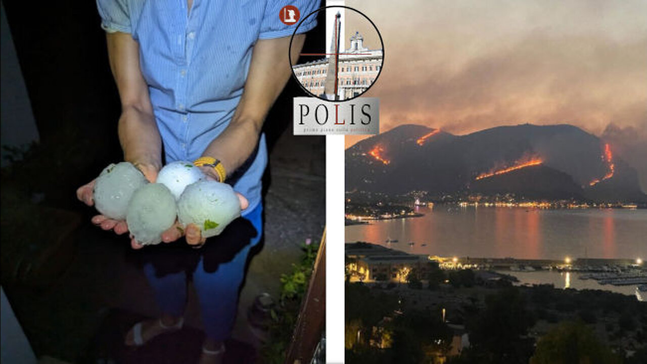 Polis pt. 23 - Emergenze di mezza estate