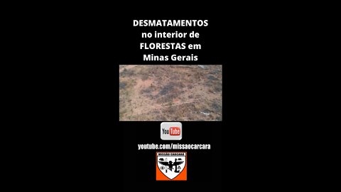 Missão para mostrar Desmatamentos nas florestas em MG
