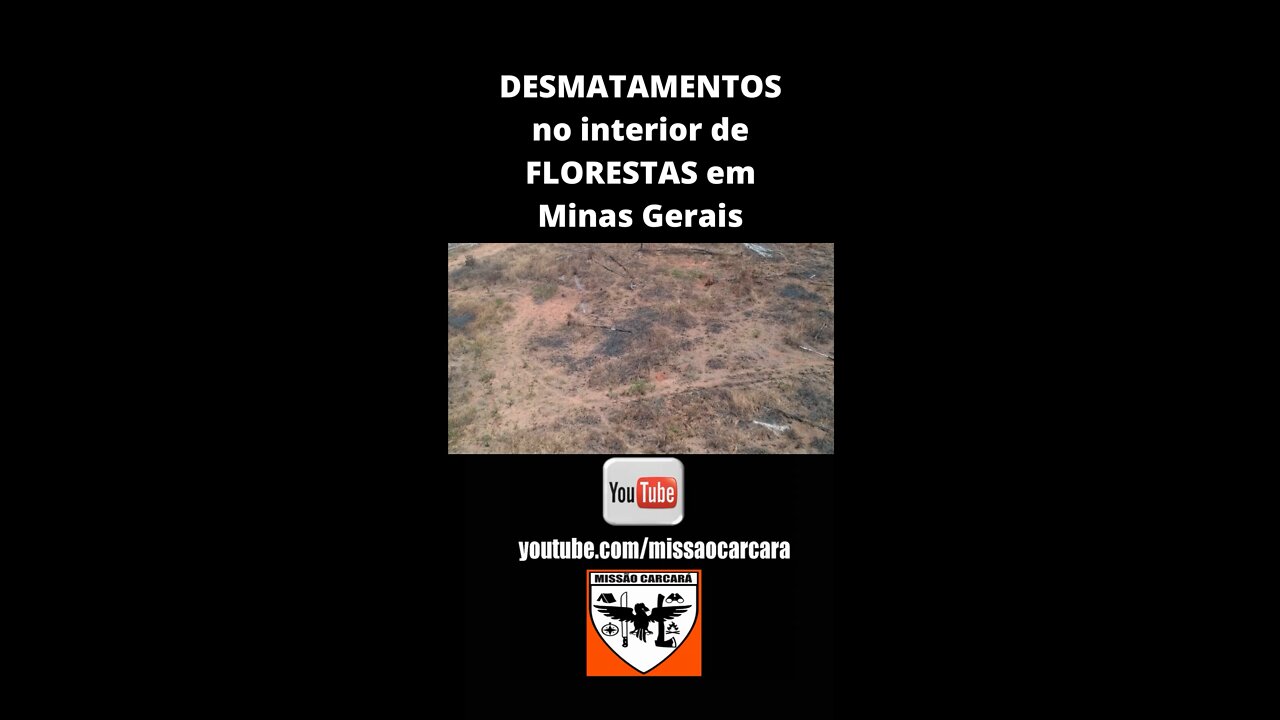 Missão para mostrar Desmatamentos nas florestas em MG