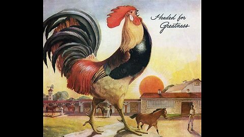 Giant Rooster