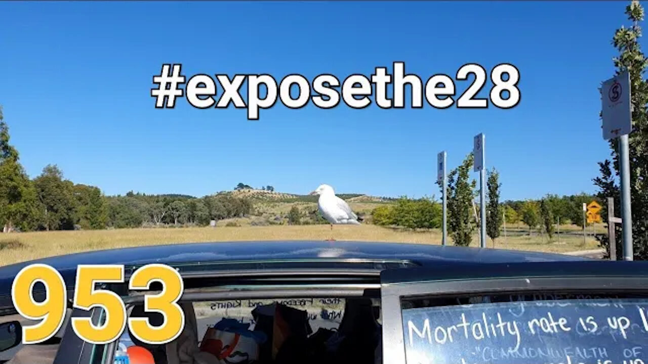 Free As A Bird #exposethe28 #exposechildtrafficking ( ft Kane Obz & Ilaina )