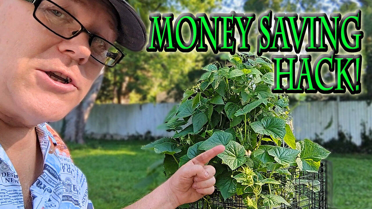 Vertical Garden Money Saving Hacks!