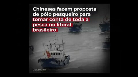 PRINCIPE LUIZ PHILIPPE: Risco chinês para a nossa pesca.