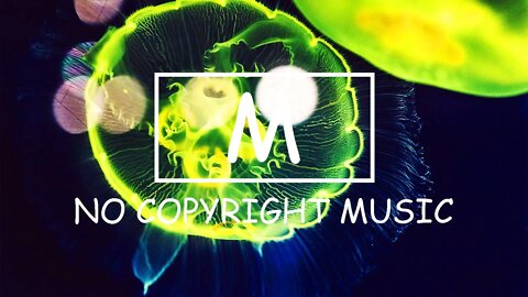 Oshóva - Love's Happiness（Mm No Copyright Music）