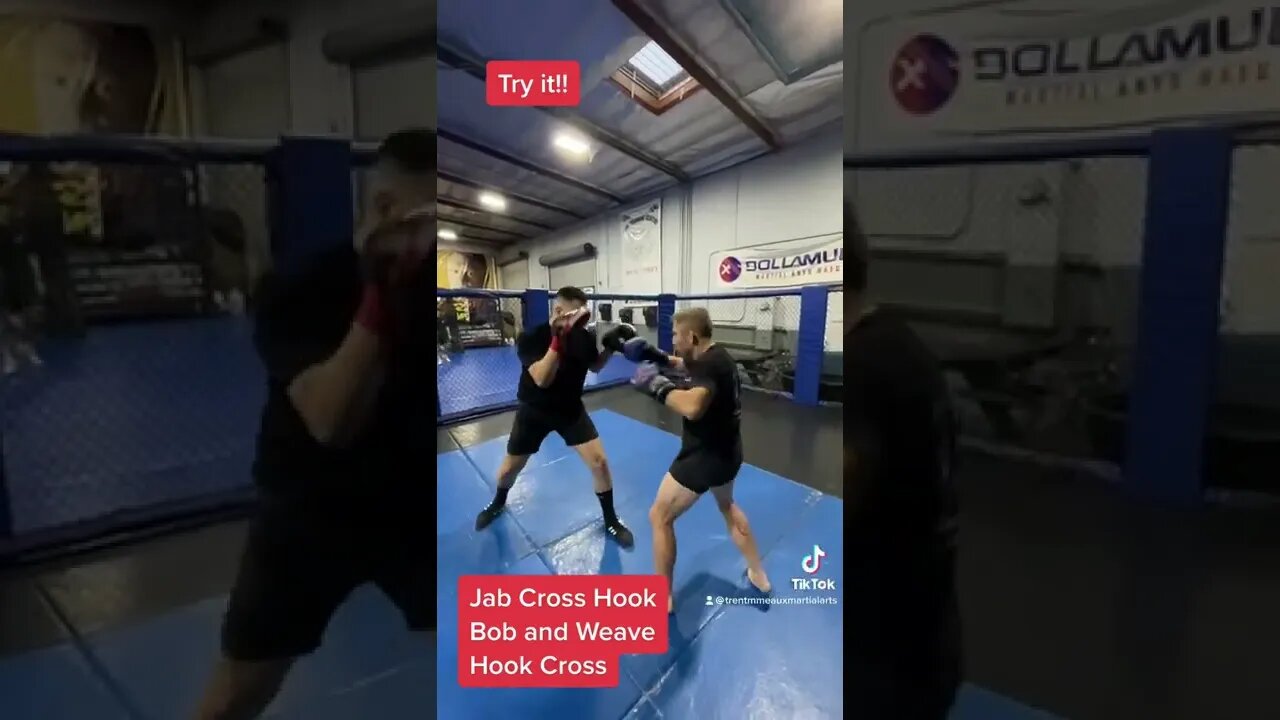 Boxing - Jab Cross Hook Bob and Weave Hook Cross