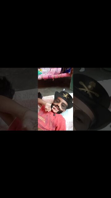 cute cat video, cute dog video, funny animal video