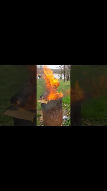 Taking Out The Trash