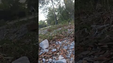 #homeless #gangstalker who curses me out & threatens me Pt. 2