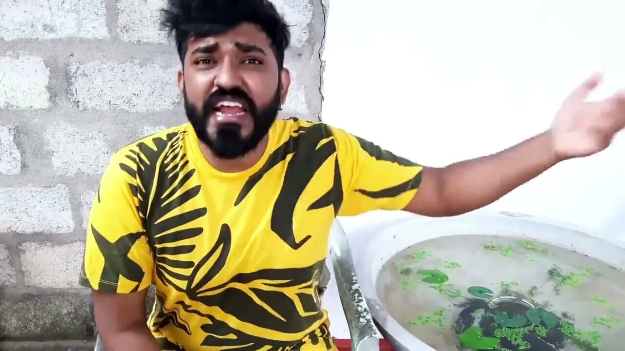 බේබී සබන් Baby Saban #boralui galayai #shorts