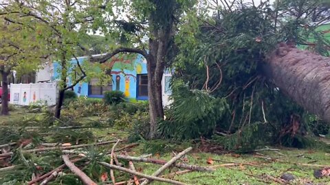 Storm knocks tree down into daycare in St. Petersburg