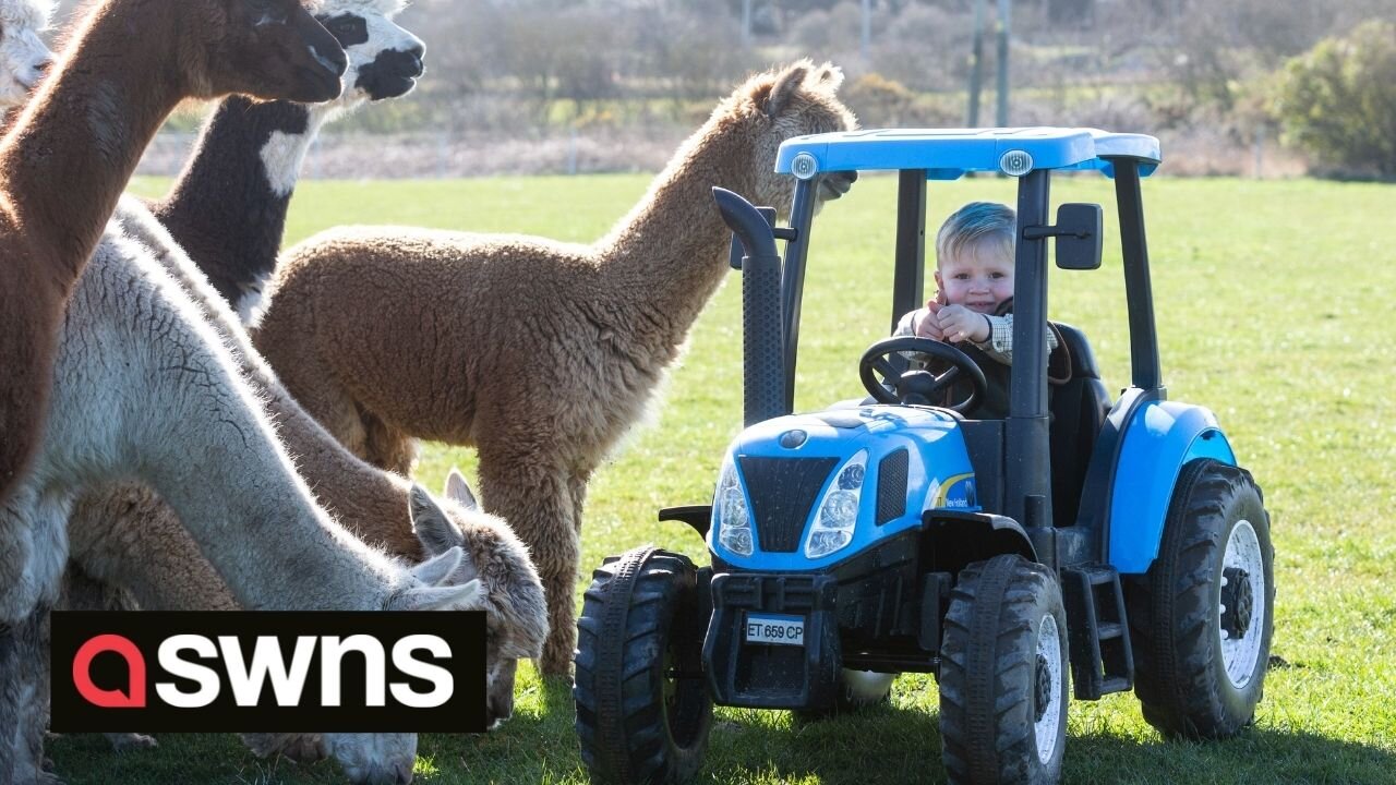 Meet the tractor obsessed THREE year old who is taking social media by storm