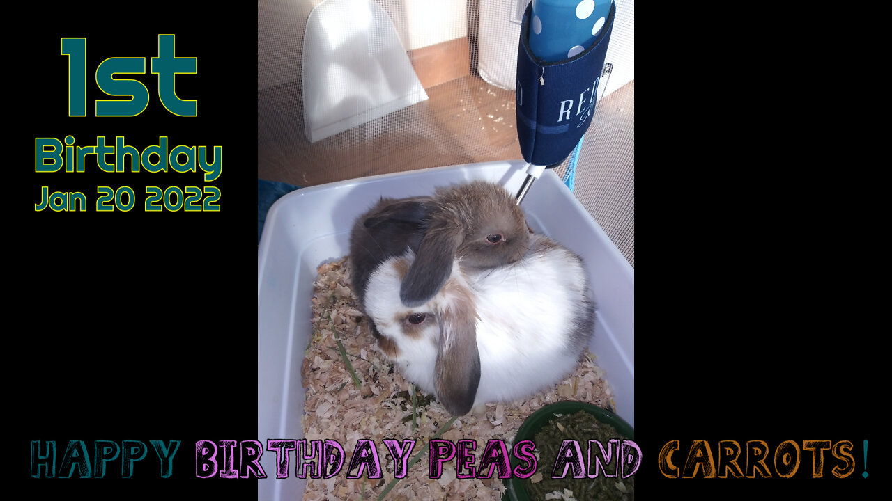 Happy Birthday Peas and Carrots!