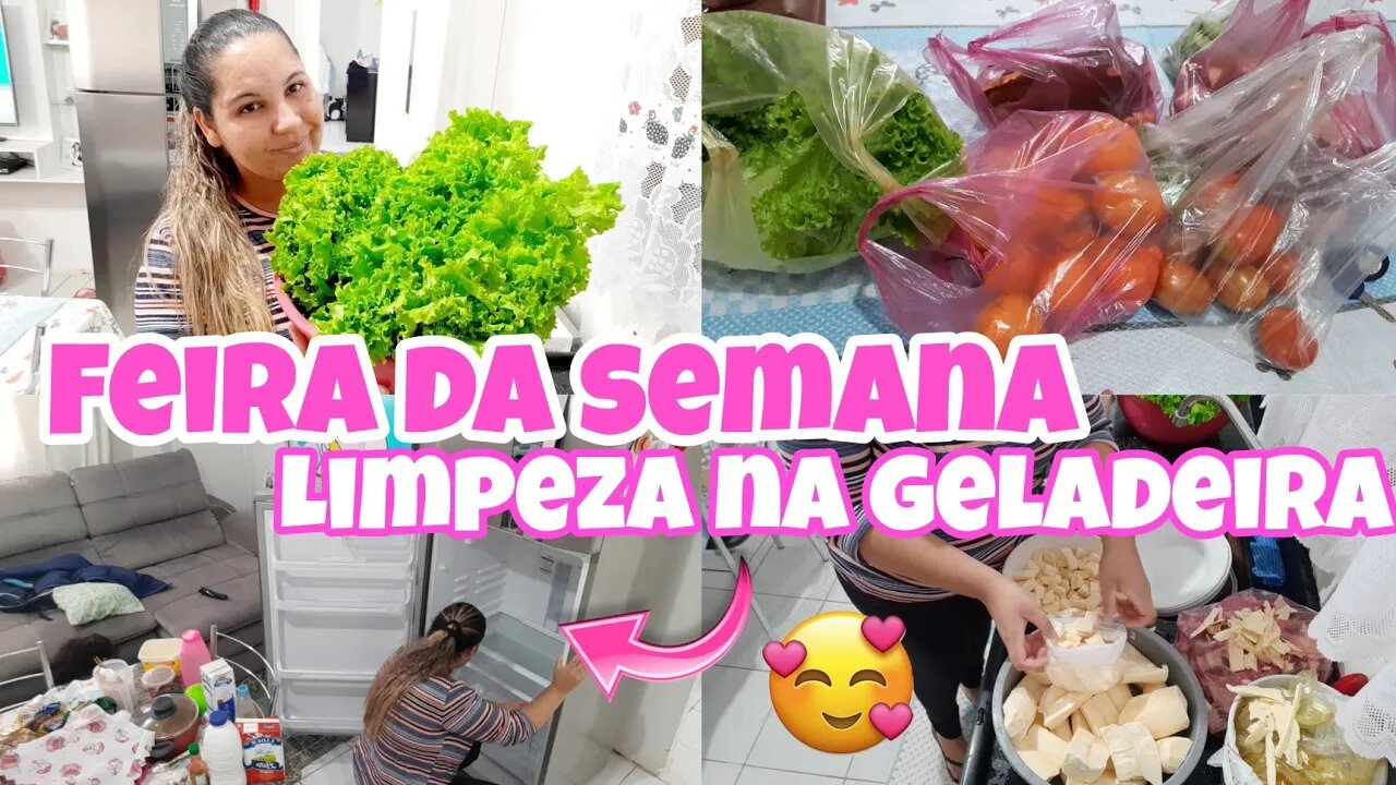 LIMPEZA NA GELADEIRA , PARA RECEBER AS COMPRAS ,MUITO SUJO 😰// FEIRA DA SEMANA #canaldamili