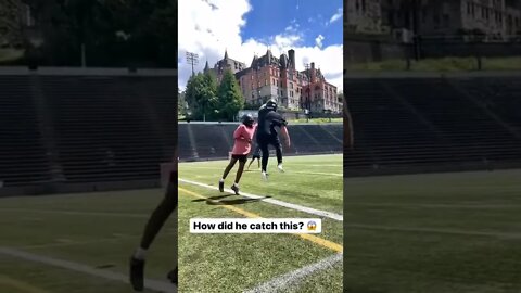 This catch is nasty😂😂😂#shorts #football#nfl #catch #mlbcentral