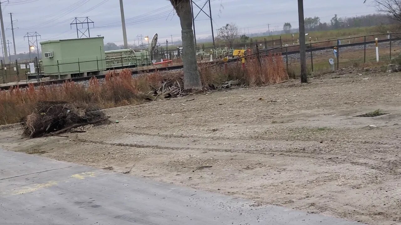 Apache coyote