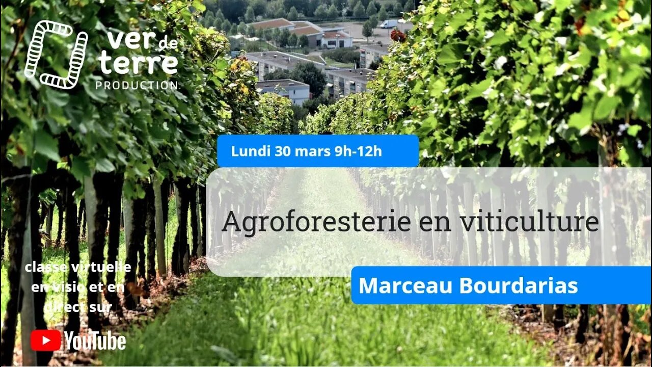 Agroforesterie en viticulture, avec Marceau Bourdarias, Alain Canet & Hervé Coves