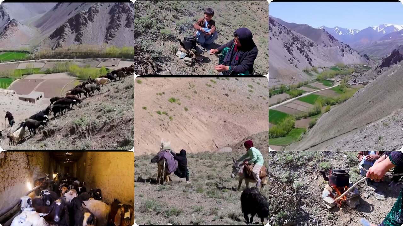 Rural life in Bamiyan, Afghanistan A day in the life of a shepherd mother